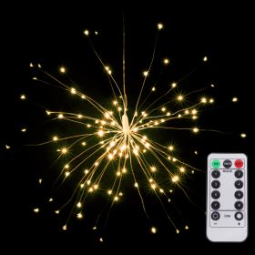 Fireworks Light 150 LEDs with Remote - Set of 2 - Warm White 01