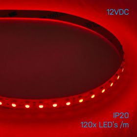 Strip Light 120 3528 LEDs/m 12V