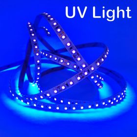 Strip Light 120 3528 LEDs/m 12V - Ultraviolet 1