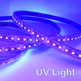 Strip Light 120 3528 LEDs/m 12V Waterproof - Ultraviolet 1