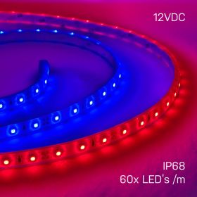Strip Light 60 3528 LEDs/m 12V - Waterproof Colours