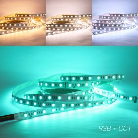 Strip Light 60 5050 LEDs/m 24V - RGB + CCT