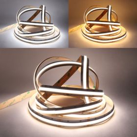 Strip Light Continuous COB 24V - CCT Switchable