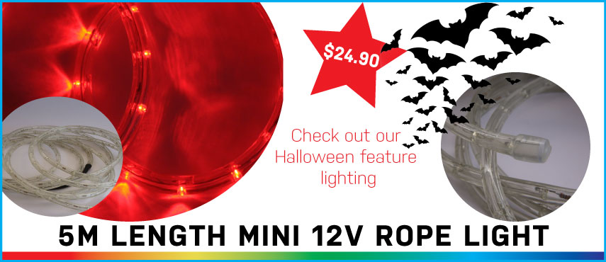 12V Mini Rope Light