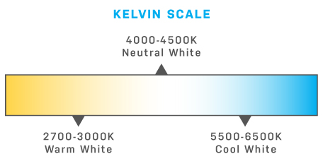 Kelvin Scale